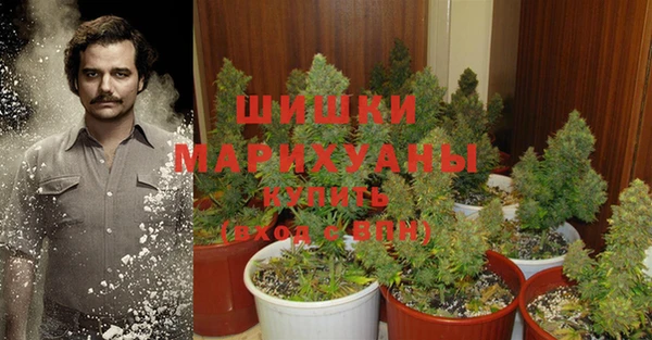 эйфоретик Белокуриха
