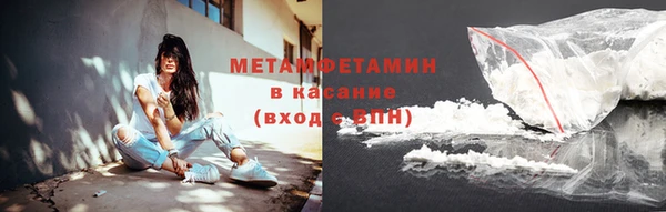 шишки Беломорск