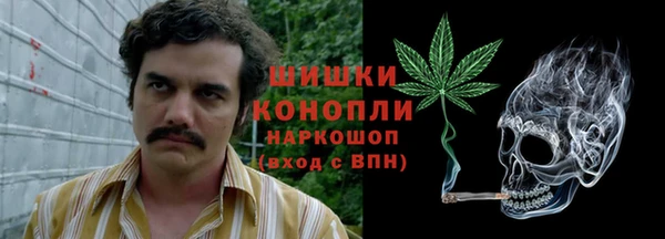 эйфоретик Белокуриха