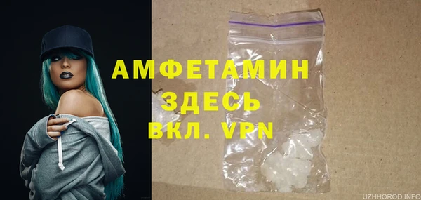 шишки Беломорск