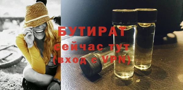 индика Балабаново
