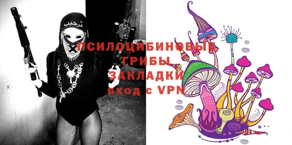 индика Балабаново