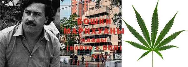 шишки Беломорск