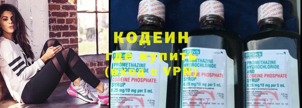 шишки Беломорск