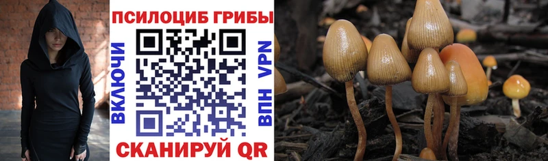 площадка Telegram  Реутов  Галлюциногенные грибы Cubensis 